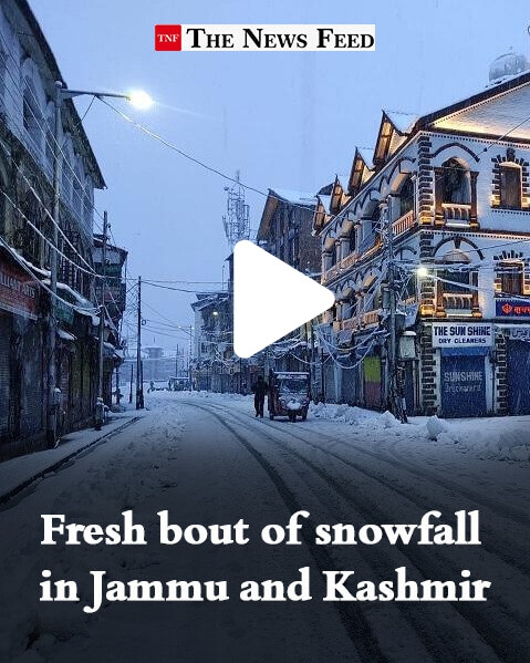 News Studio - AI Video and Reel Generation Preview